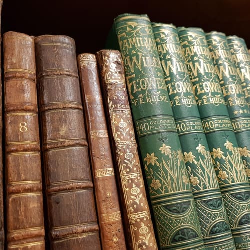 G. David Bookseller, Cambridge