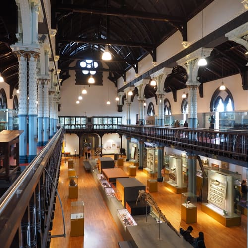 The Hunterian Museum, Glasgow
