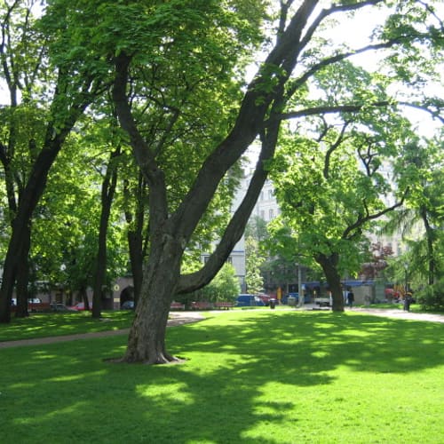 Old Church Park (Ruttopuisto), Helsinki