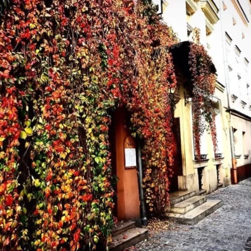 Karmel Hotel, Kraków
