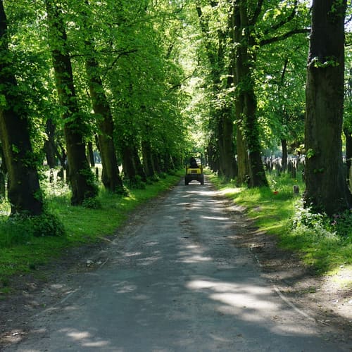 Southern Cemetery, Manchester