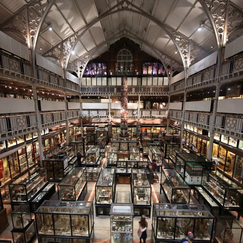 The Pitt Rivers Museum, Oxford