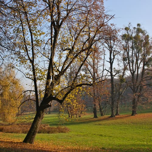 Pötzleinsdorfer Schlosspark, Vienna