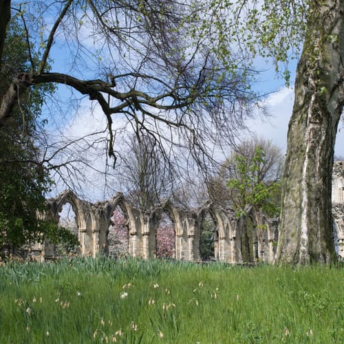 St Mary's Abbey, York